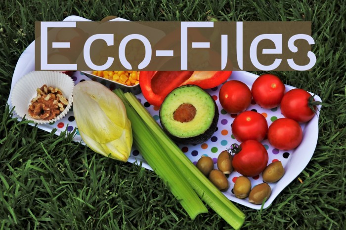 Eco-Files Font examples
