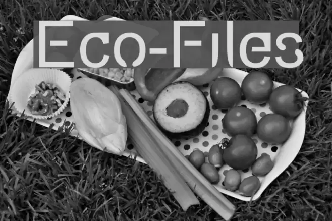 Eco-Files Шрифта examples