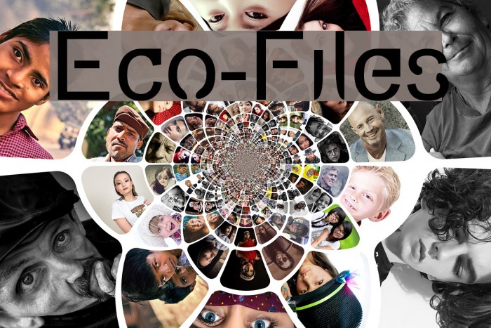 Eco-Files Font examples