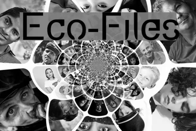 Eco-Files Шрифта examples
