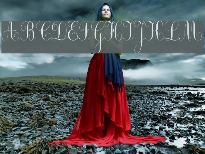 Ecolier_court Example 2