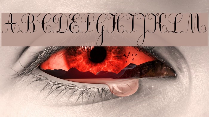 Ecolier_court Example 3