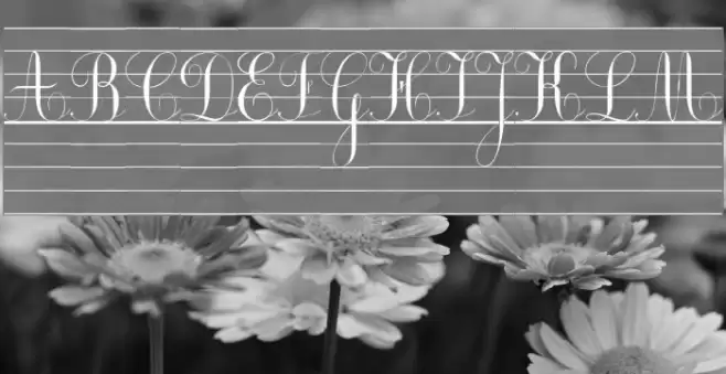 Ecolier_lignes_court Font examples