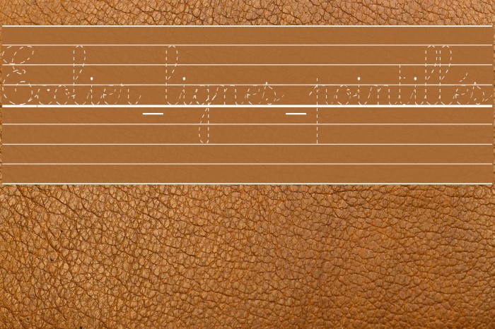 Ecolier_lignes_pointillés Example 1