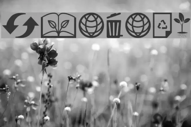 Ecology Font examples