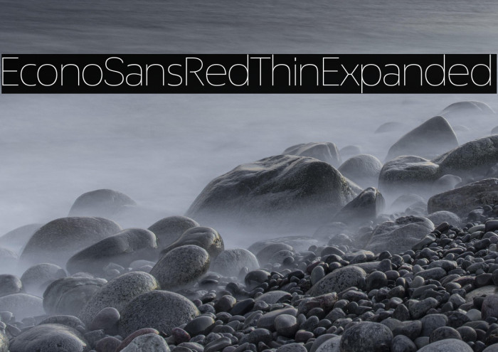 EconoSansRed-33ThinExpanded Example 2