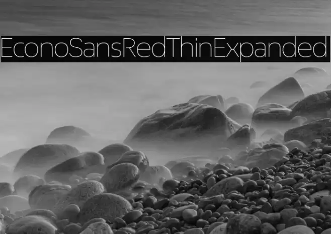EconoSansRed-33ThinExpanded Font examples