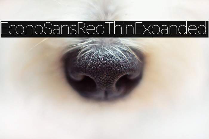 EconoSansRed-33ThinExpanded Example 3