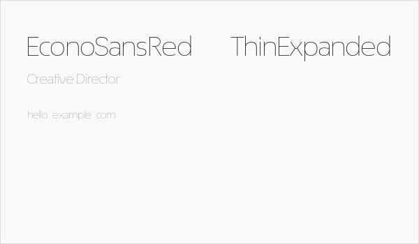 EconoSansRed-33ThinExpanded Business Card