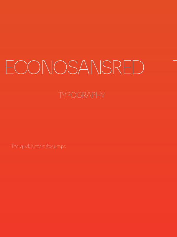 EconoSansRed-33ThinExpanded Poster