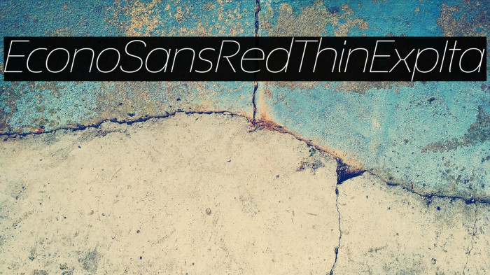 EconoSansRed-34ThinExpIta Example 1