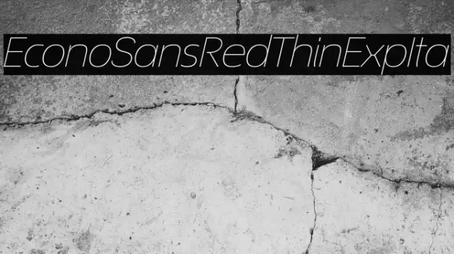 EconoSansRed-34ThinExpIta フォント examples