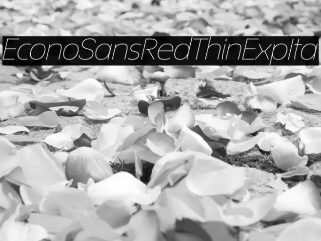 EconoSansRed-34ThinExpIta フォント examples