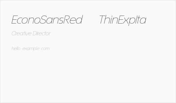 EconoSansRed-34ThinExpIta Business Card