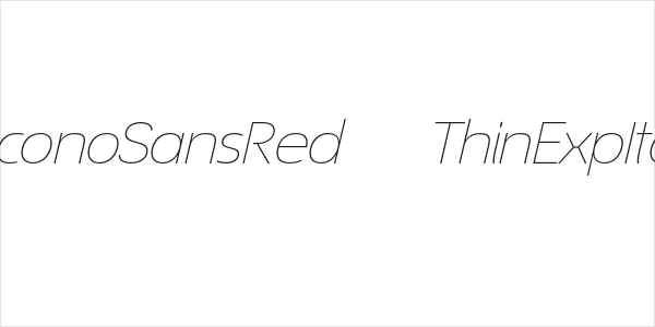 EconoSansRed-34ThinExpIta Logo