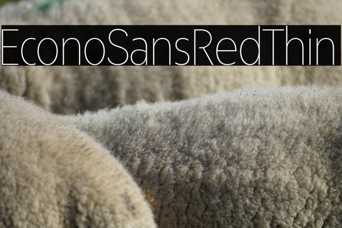 EconoSansRed-35Thin Example 2