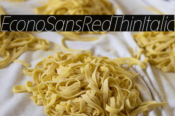 EconoSansRed-36ThinItalic Example 1