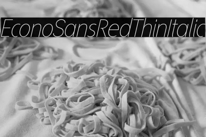 EconoSansRed-36ThinItalic Font examples