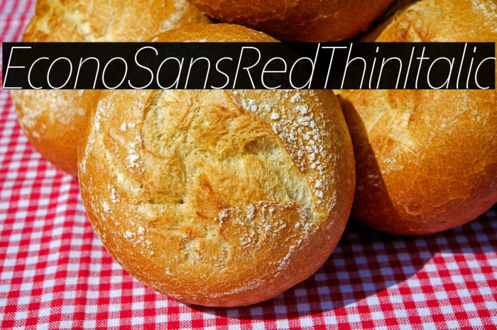 EconoSansRed-36ThinItalic Example 3