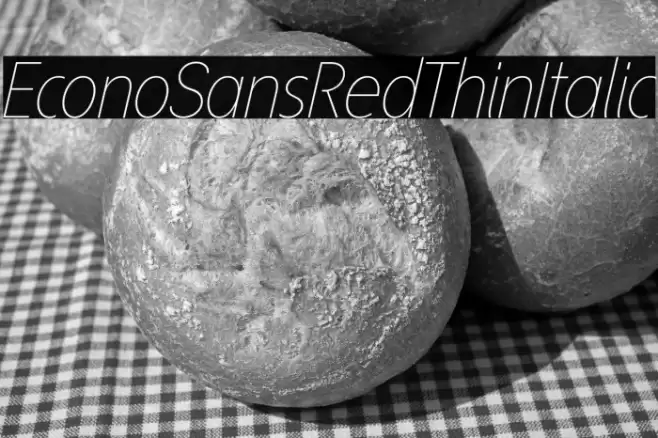 EconoSansRed-36ThinItalic Font examples