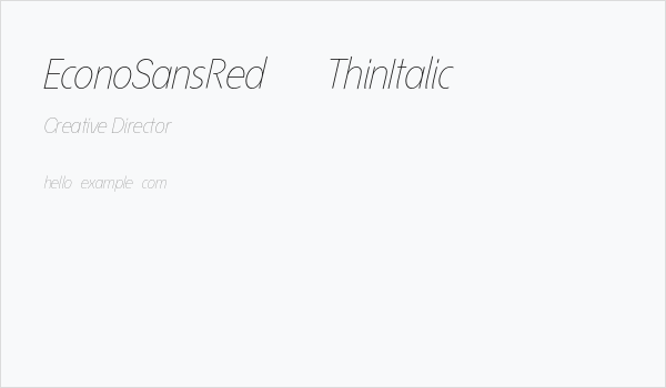 EconoSansRed-36ThinItalic Business Card