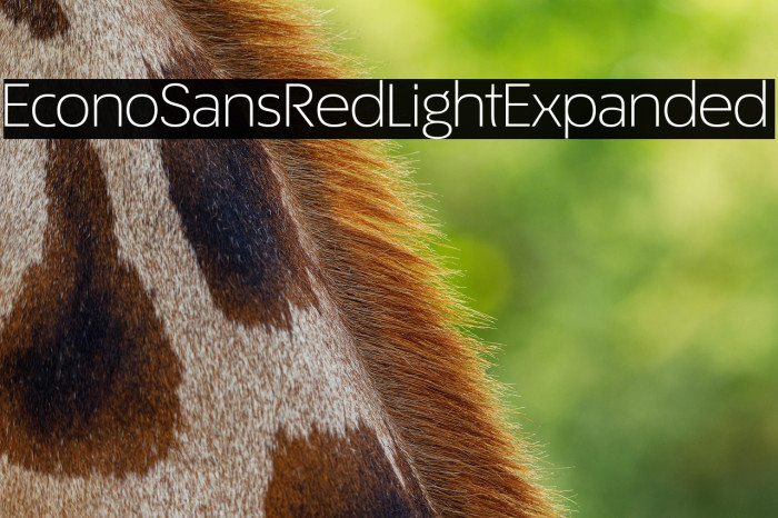 EconoSansRed-43LightExpanded Example 2