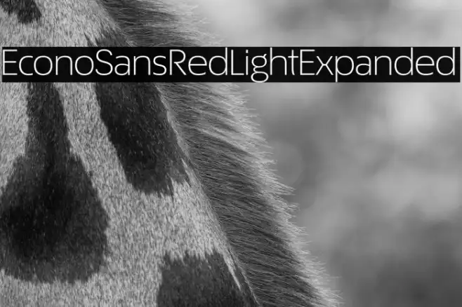 EconoSansRed-43LightExpanded Example 2