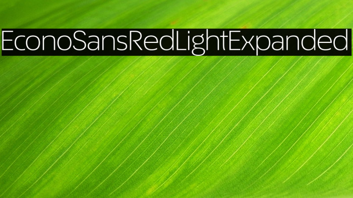 EconoSansRed-43LightExpanded Example 3