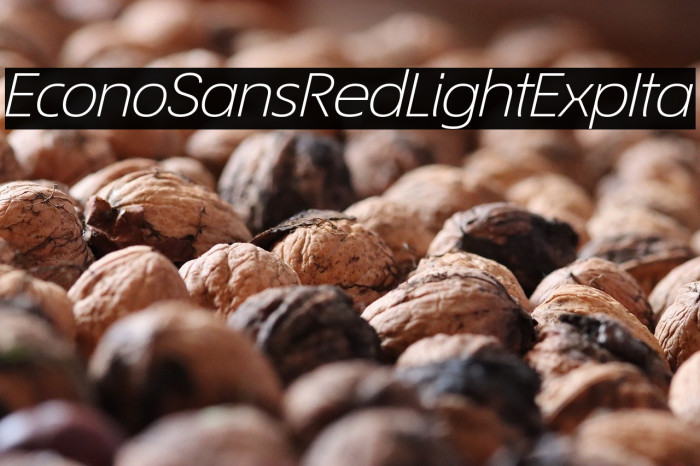 EconoSansRed-44LightExpIta Example 2