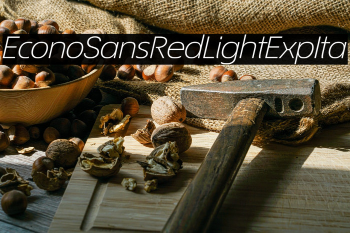 EconoSansRed-44LightExpIta Example 3