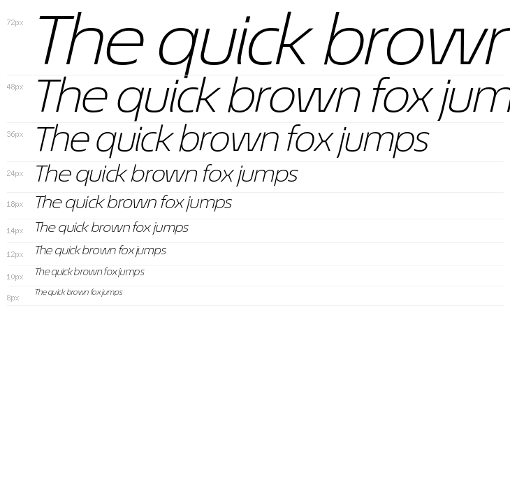 EconoSansRed-44LightExpIta Waterfall