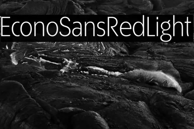 EconoSansRed-45Light Example 1