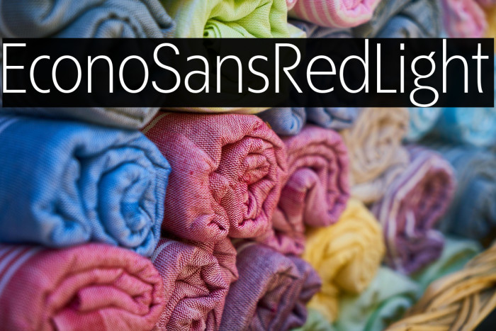 EconoSansRed-45Light Example 2