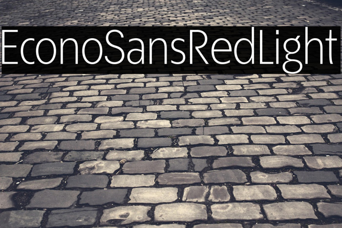EconoSansRed-45Light Example 3