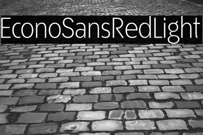 EconoSansRed-45Light Example 3