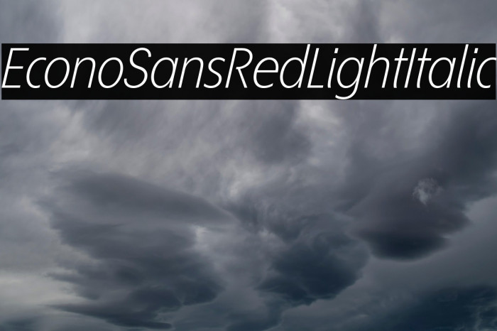 EconoSansRed-46LightItalic Example 1