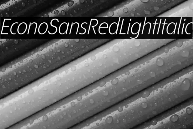 EconoSansRed-46LightItalic Font examples