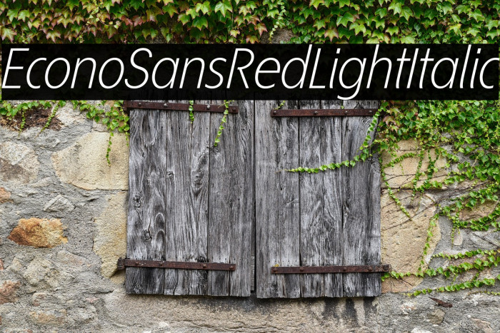 EconoSansRed-46LightItalic Example 3