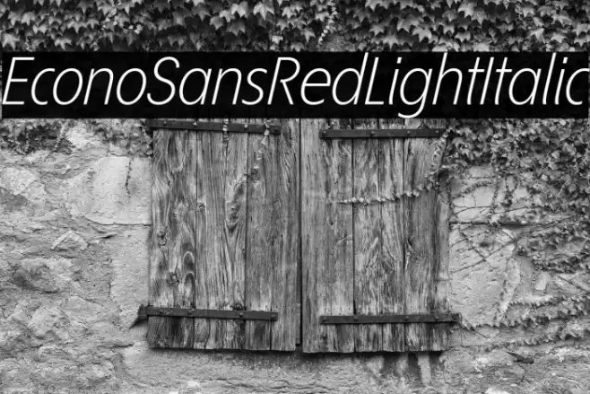 EconoSansRed-46LightItalic Font examples