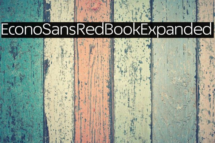 EconoSansRed-53BookExpanded Example 1