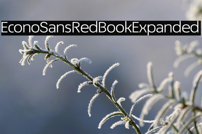 EconoSansRed-53BookExpanded Example 2