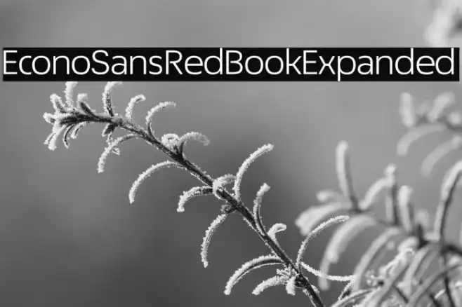 EconoSansRed-53BookExpanded Example 2