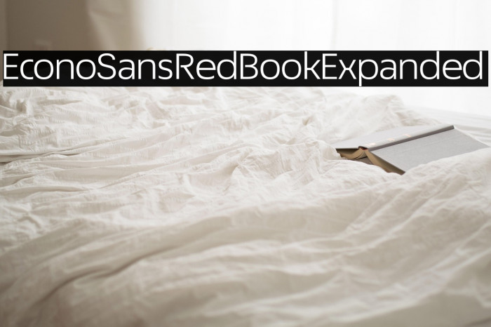 EconoSansRed-53BookExpanded Example 3