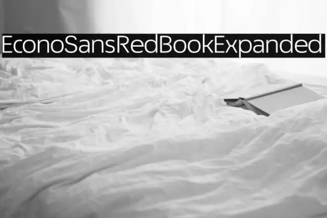 EconoSansRed-53BookExpanded Example 3