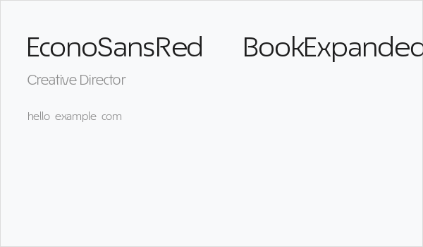 EconoSansRed-53BookExpanded Business Card