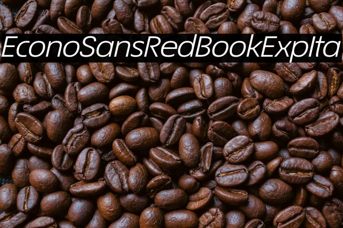 EconoSansRed-54BookExpIta Example 1