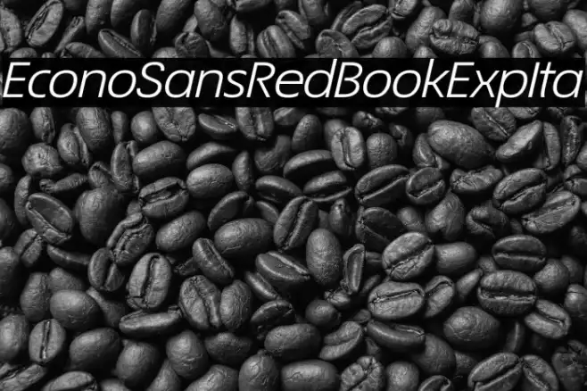 EconoSansRed-54BookExpIta Example 1