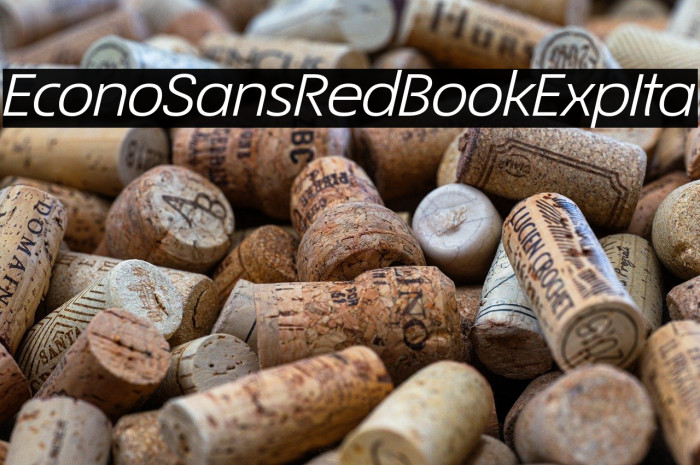 EconoSansRed-54BookExpIta Example 2