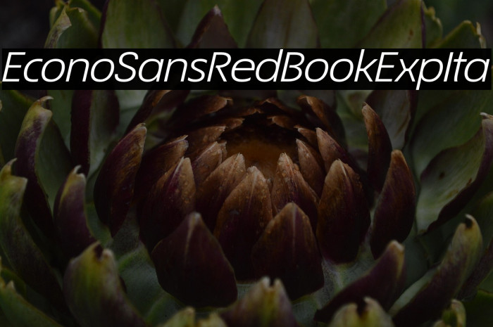 EconoSansRed-54BookExpIta Example 3