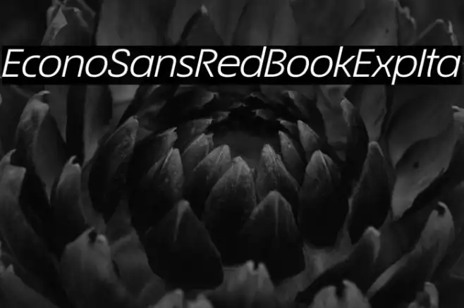 EconoSansRed-54BookExpIta Example 3